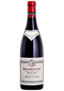 Bourgogne Pinot Noir Regnard 2022 0,75 lt