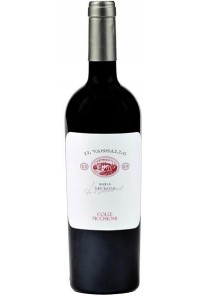 Vassallo Colle Picchioni 2023 0,75 lt.