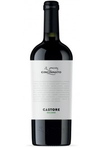 Bellone Castore Cincinnato 2023 0,75 lt.