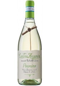 Tralcetto Pecorino Zaccagnini 2023 0,75 lt.