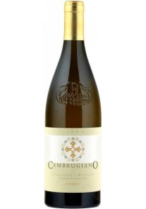 Verdicchio Cambrugiano Belisario Riserva 2020  0,75 lt.