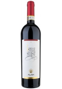 Sfursat 5 Stelle Nino Negri 2021  0,75 lt.