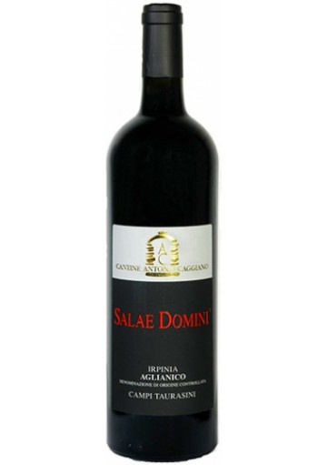 Aglianico Caggiano Salae Domini 2023 0,75 lt.