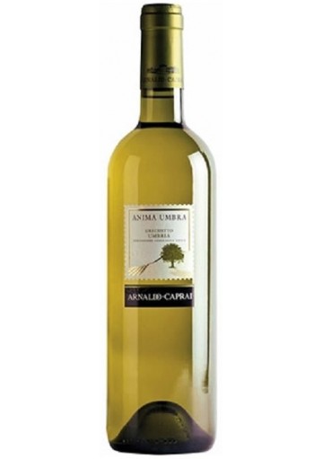 Grechetto Caprai Anima Umbra 2024 0,75 lt.