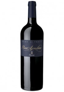 Nero di Troia Puer Apuliae Rivera 2017 0,75 lt.