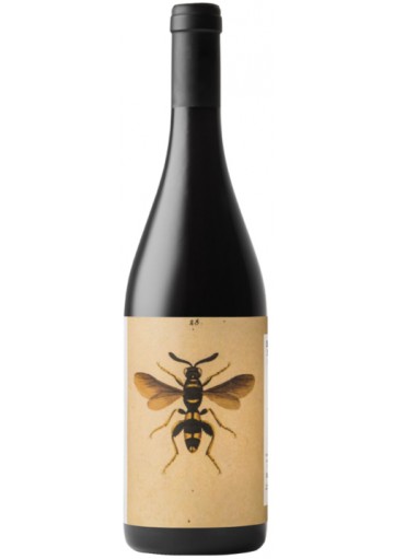 Il Sangiovese Noelia Ricci 2023  0,75 lt.