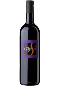 Slatnik Radikon 2023  0,75  Lt.