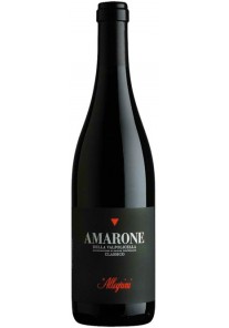 Amarone della Valpolicella Classico Allegrini 2021  0,75 lt.
