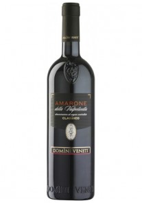 Amarone della Valpolicella classico Domini Veneti 2021  0,75 lt.