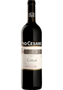 Nebbiolo Langhe Pio Cesare 2023  0,75 lt.