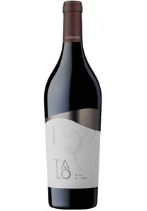 Nero di Troia Talò Cantine San Marzano 2024  0,75 lt.