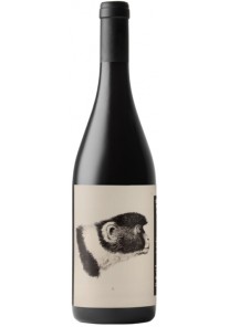 Sangiovese Godenza Noelia Ricci 2022 0,75 lt.