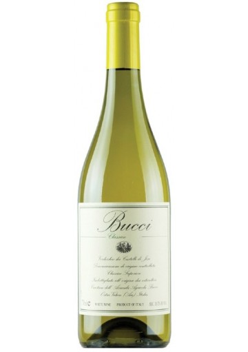 Verdicchio Bucci 2024   0,75 lt.