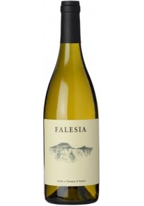 Chardonnay Falesia D\'Amico 2024  0,75 lt.