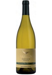 Chardonnay Yarden Odem Golan Heights Winery 2024  0,75 lt.