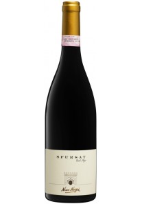 Sfursat Sforzato di Valtellina Nino Negri 2022  0,75 lt.