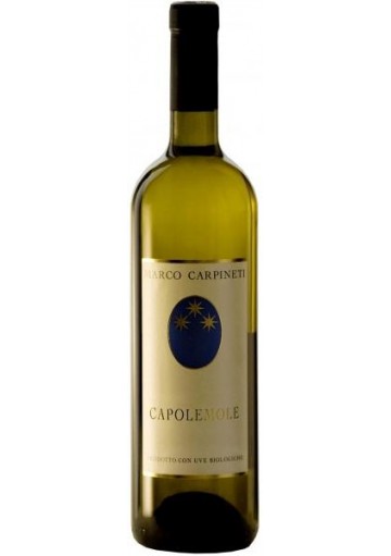 Moro Marco Carpineti  2024  0,75 lt.