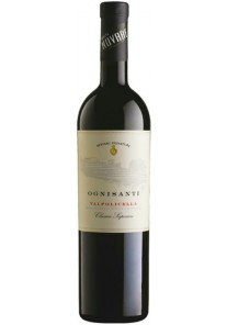 Valpolicella classico superiore Bertani Ognisanti di Novare 2022  0,75 lt.