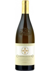 Verdicchio Cambrugiano Belisario Riserva 2022  0,75 lt.