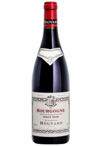 Bourgogne Pinot Noir Regnard 2024 0,75 lt