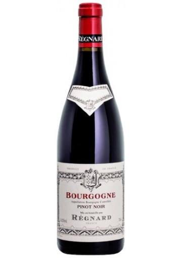 Bourgogne Pinot Noir Regnard 2024 0,75 lt
