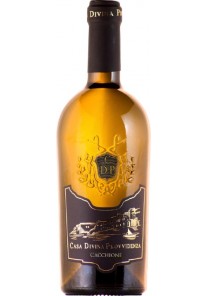 Cacchione Casa di Divina Provvidenza 2025   0,75 lt.