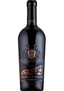 Cesanese Casa Divina Provvidenza 2024 0,75 lt.