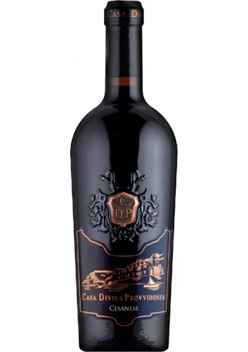 Cesanese Casa Divina Provvidenza 2024 0,75 lt.