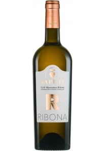 Colli Maceratesi Ribona Saputi 2025 0,75 lt.
