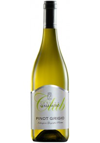Pinot Grigio Colle Moro 2025  0,75 lt.