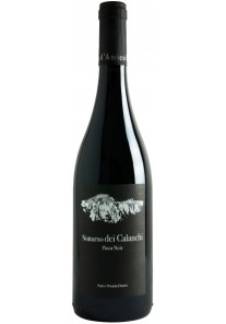 Pinot Nero Notturno dei Calanchi D'Amico 2024  0,75 lt.